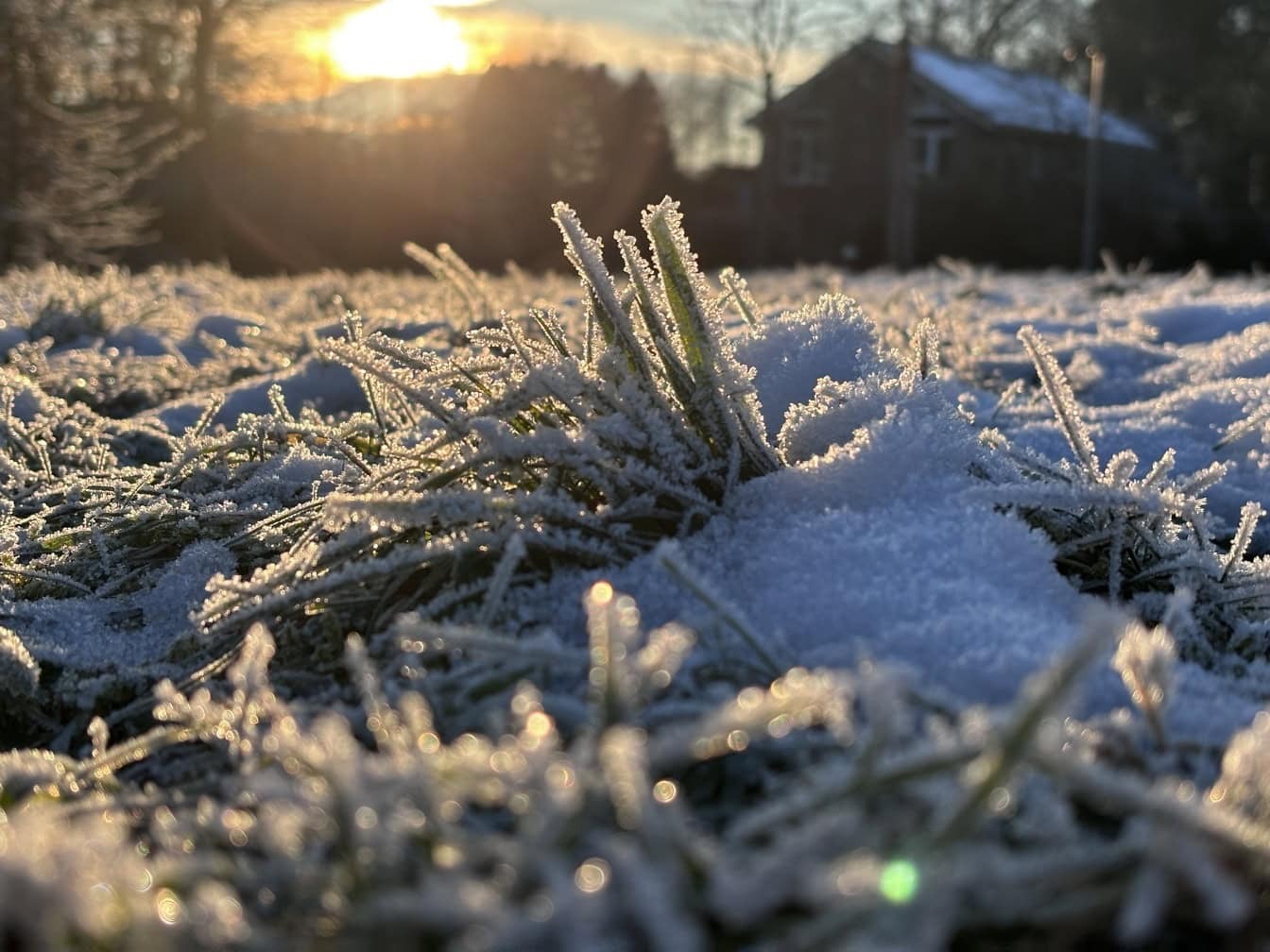 Japońska pora roku „usui”: dokoła lodowaty mróz, w sercu oddech wiosny Usui (雨水) – „Woda deszczowa” – to japońska pora przejścia, gdy zima jeszcze trzyma, a pod śniegiem zaczyna pracować wiosna. Esej o sekki, mikrosezonach i wrażliwości na zmianę, czytany przez waka i hokku oraz zimowy dzień w Przasnyszu.