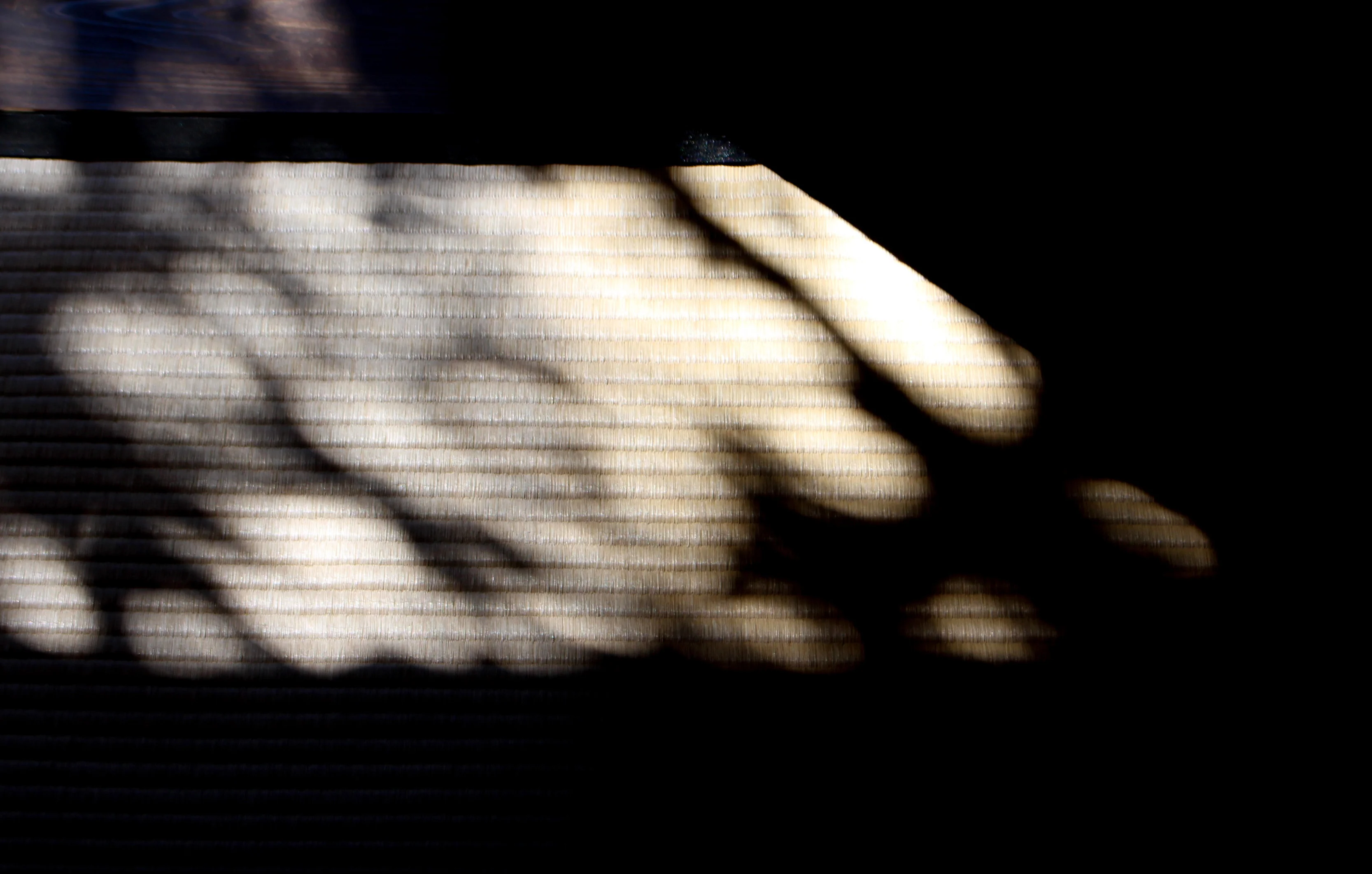 „Pochwała cienia” Tanizakiego – dotknijmy japońskiego piękna półmroku, tak odmiennego od zachodniej estetyki światła Jak Japończycy widzą piękno półmroku? Tanizaki w „Pochwale cienia” pokazuje różnicę między estetyką Japonii a zachodnią obsesją światła.