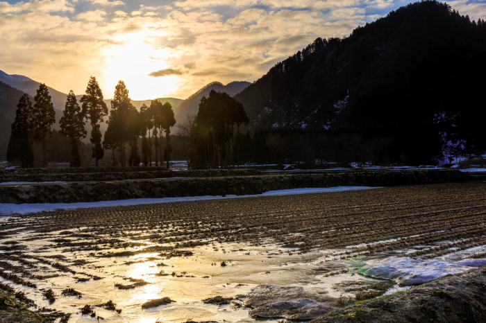 Japońska pora roku „usui”: dokoła lodowaty mróz, w sercu oddech wiosny Usui (雨水) – „Woda deszczowa” – to japońska pora przejścia, gdy zima jeszcze trzyma, a pod śniegiem zaczyna pracować wiosna. Esej o sekki, mikrosezonach i wrażliwości na zmianę, czytany przez waka i hokku oraz zimowy dzień w Przasnyszu.