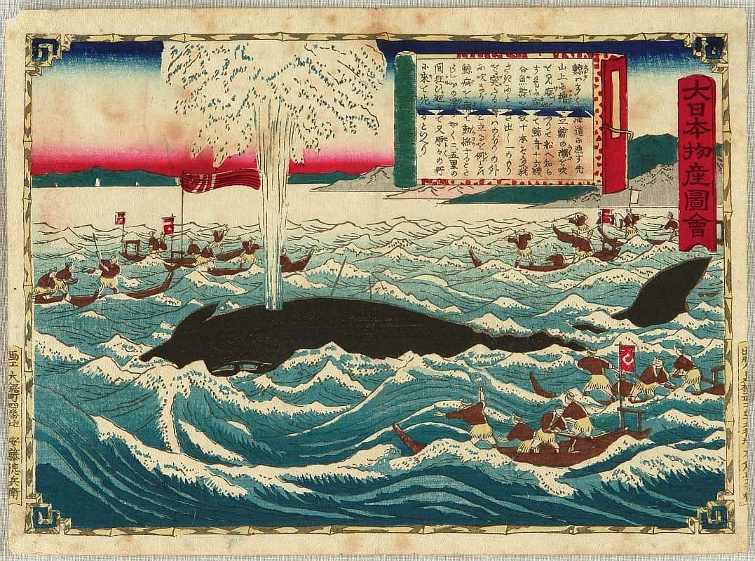 Polowanie na wieloryba - ukiyo-e Artykuł o japońskim wielorybnictwie we współczesnej Japonii i komentarz aktywistki Junko Sakuma.