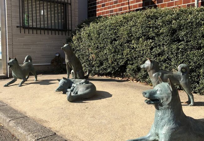 Wieczorne rozmyślania w barze. Yotsuya, Tokyo. Spokojne rozważania w małym barze w Yotsuya. Historia, dawne legendy, ciche ulice w deszczu i wspomnienia zapisane w tkance Tokyo.