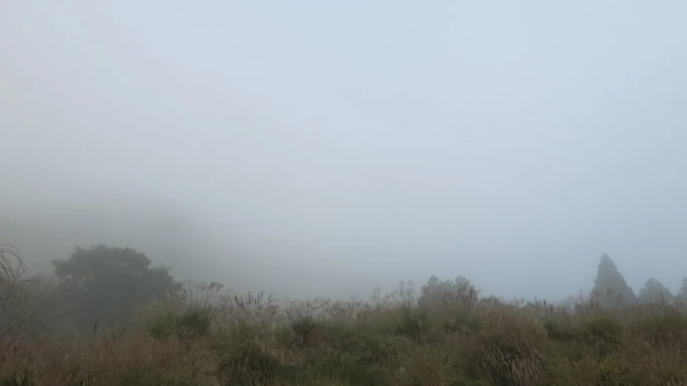 The Black Shōgun Before the Age of the Samurai – Tamuramaro Discover the story of Tamuramaro—the legendary “Black Shōgun” who lived long before the age of the samurai. Who was Japan’s first shōgun?