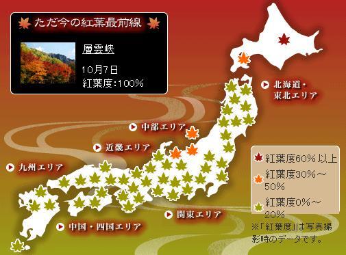 Polując na czas. Jesienne spacery momijigari jako lekcja japońskiej uważności. Momijigari to jesienne spacery wśród barwnych klonów, łączące tradycję, uważność i świadomość przemijania. O japońskim „polowaniu na czas”.