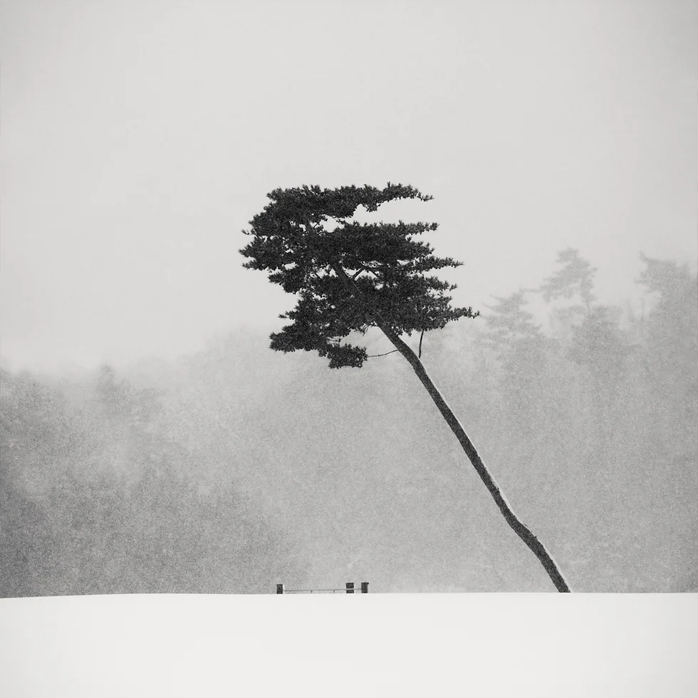 Samotne drzewo - zima, minimalizm zen Felieton o japońskiej poezji (waka, haiku) na temat zimy i zimowej introspekcji, odczuciom mono no aware, pustki zen.