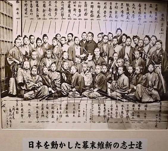Tsubaki, czyli kamelia - kwiat, którego samuraje się bali czy kochali? Kamelia w Japonii miała być kwiatem przeklętym - opadająca główka kojarzyła się z odciętą głową samuraja. Tę legendę powtarza dziś cały świat. Tyle że w epoce Edo shōgunowie hodowali tysiące odmian kamelii, a samuraje byli głównymi klientami szkółek.