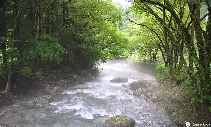 Japanese children know "Hōjōki" by heart – but what can we learn from a monk of the 13th century? "Hōjōki" by Kamo no Chōmei – a Japanese life lesson from 800 years ago, still present in schools. Discover what it can teach us today.