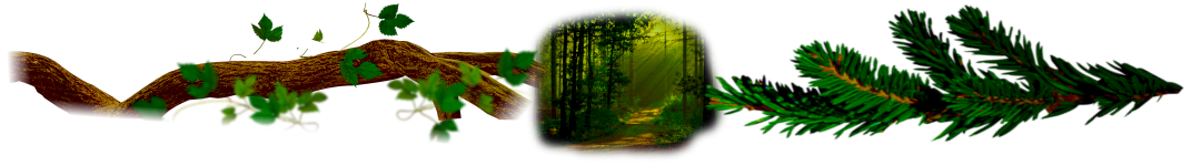 A Profound Bond Between Humans and Trees in Japanese Culture and Ukiyo-e Art - text separator How Do the Japanese Listen to Trees? – The Relationship Between Humans and Trees in Ukiyo-e Art and Japanese Culture - text divider