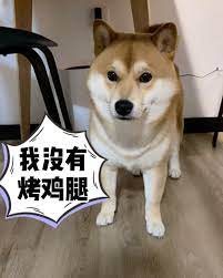 sHIBAO - GWIAZDA NA Nico Nico Esej o japońskiej rasie psów Shiba Inu - ich początkom w okresie Jomon, historii u boku samurajów aż po internetowe memy i virale.