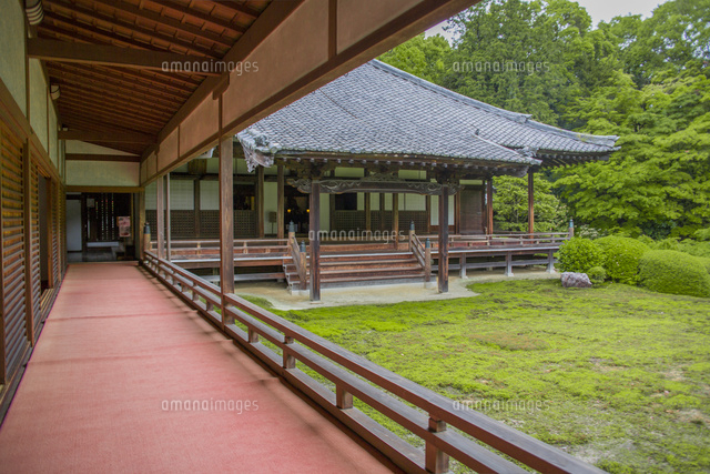Weekendowy wypad z damami dworu Heian-kyō. Słuchamy kukułki z samą Sei Shōnagon. Heian-kyō, 998: Sei Shōnagon wraca z wyprawy bez jednego wersu. Wymówkę ma po ojcu poecie. Wóz obłożony kwiatami jak żywopłot, ulewa i kukułki drące się nad głową.