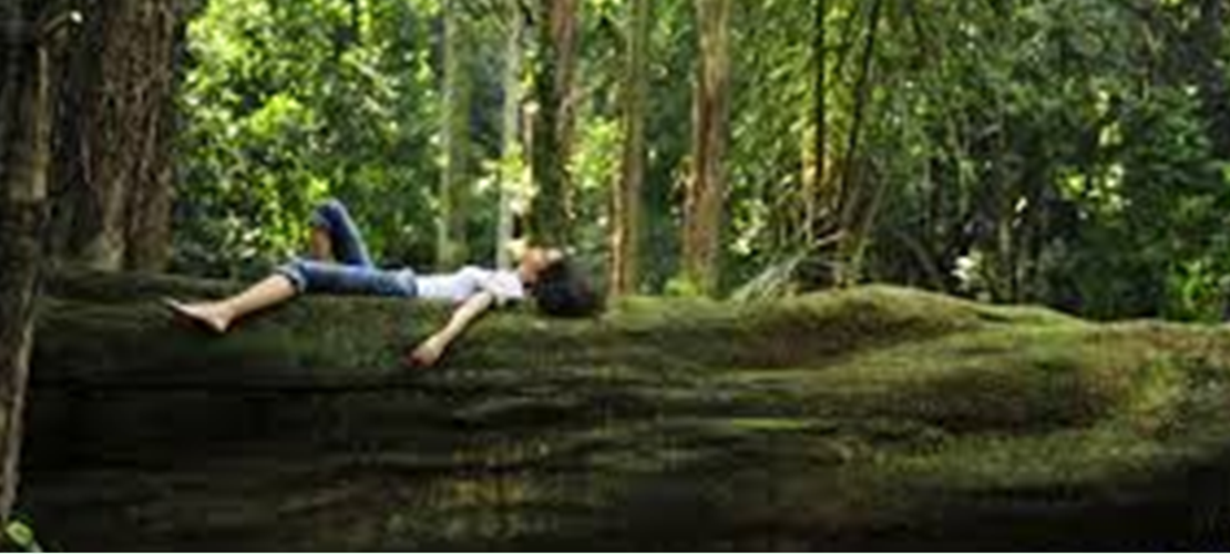 ukiyo-japan.pl - Seilence in Japanese culture Essay about silence in the Japanese culture - how understanding of silence in life, philosophy, art, work and literature can differ in different cultures?