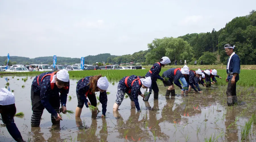 Wiersz zamiast klimatyzacji – dawne japońskie sposoby na upał: słowo, dźwięk, barwa Szklany dzwonek, złota rybka, skrobany lód i jeden wiersz. Jak dawna Japonia komponowała chłód z dźwięku, barwy i słowa, zanim wynaleziono klimatyzację.