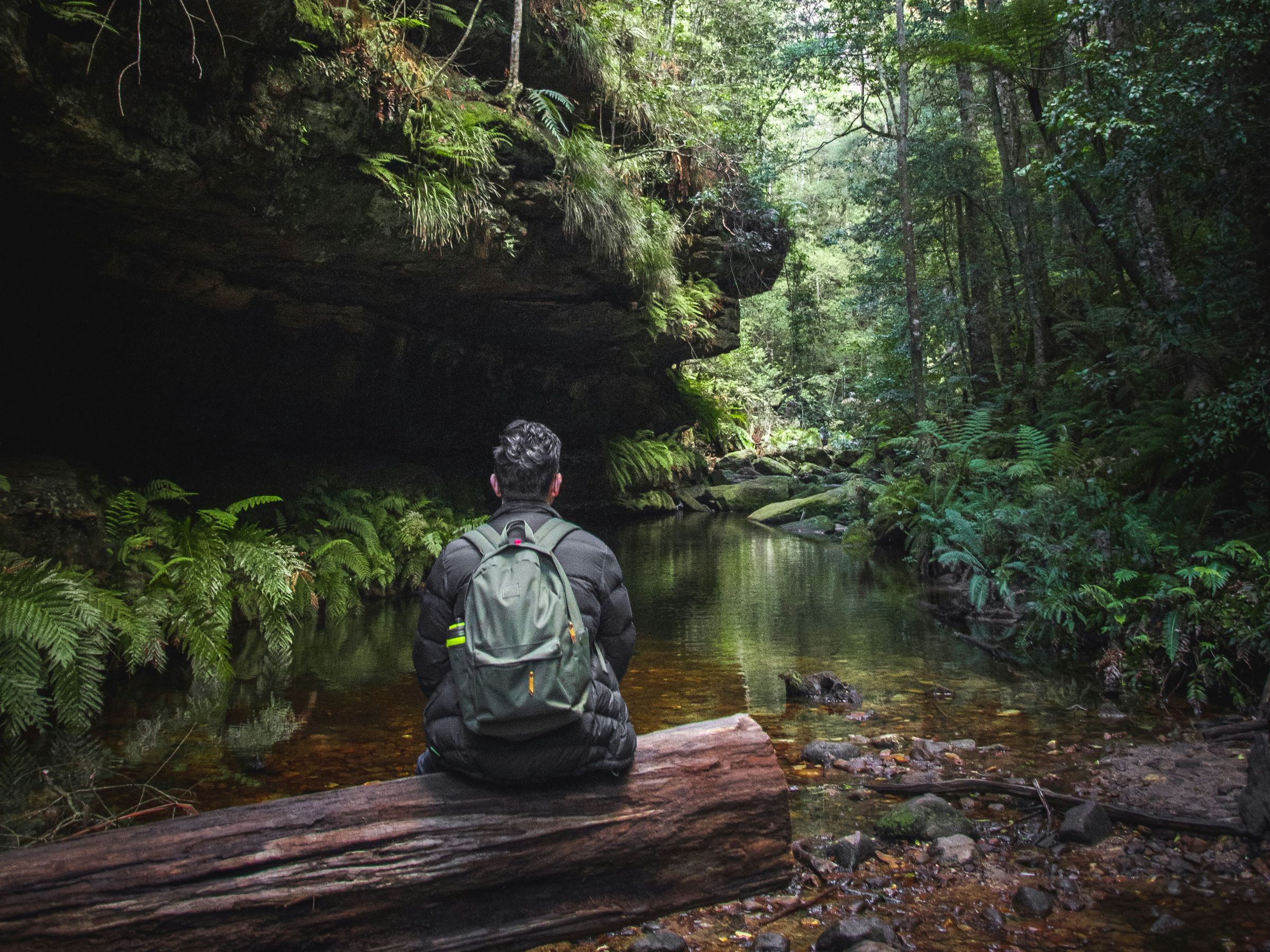 Japońska przypowieść o słoniu i ślepcach, czyli o egzystencjonalnym niezrozumieniu czegokolwiek Rozważania na temat ograniczeń poznania na podstawie przypowieści o słoniu i ślepcach i jej japońskich interpretacjach (np. u Hokusaia)