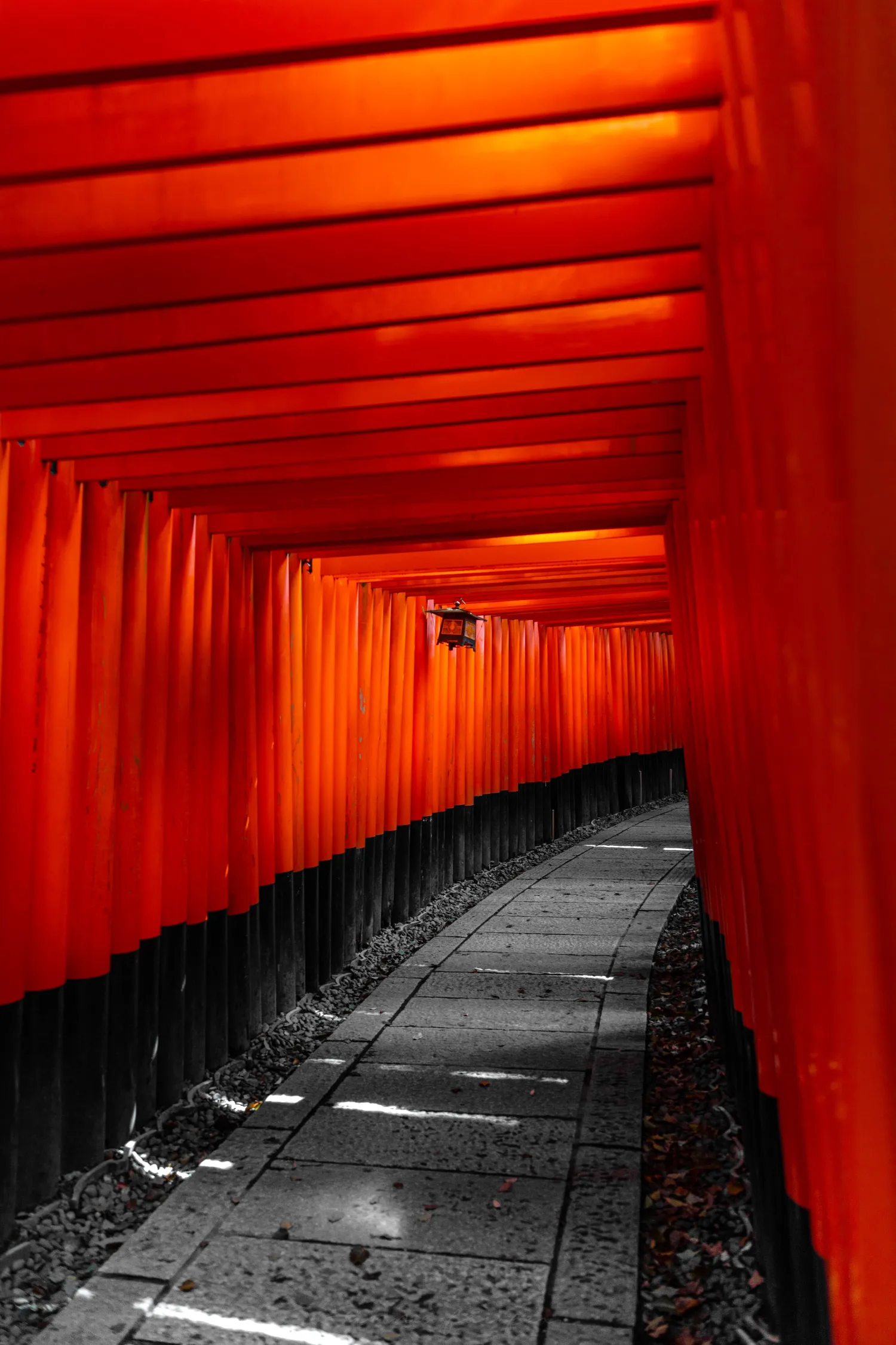 Esej przekrojowy o japońskiej symbolice, znaczeniu i historii bram torii.
