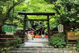 Esej przekrojowy o japońskiej symbolice, znaczeniu i historii bram torii.