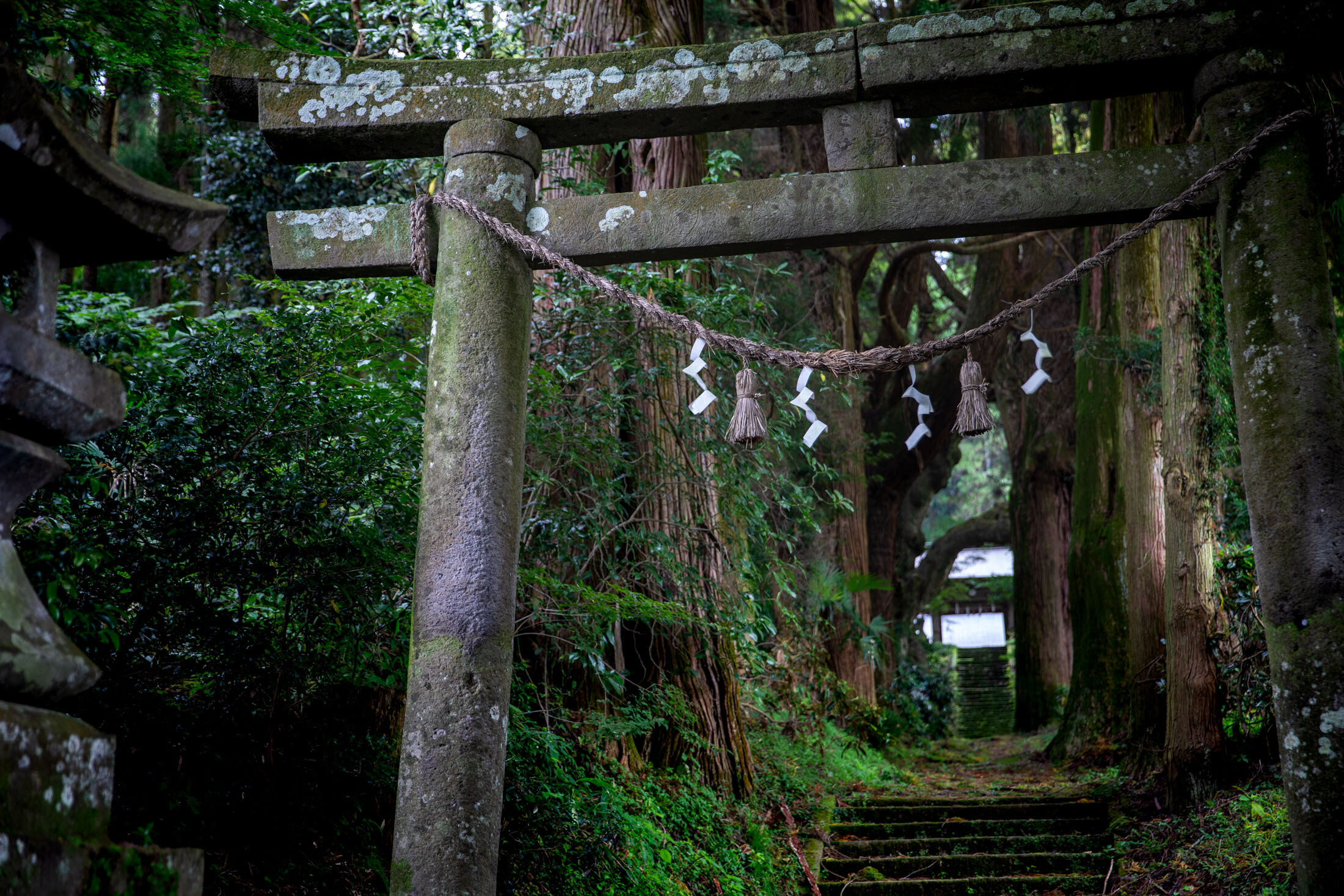 Esej przekrojowy o japońskiej symbolice, znaczeniu i historii bram torii.