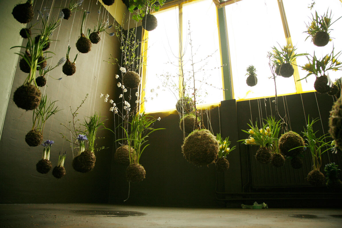 Kokedama – A Tiny Moss Planet That Brings the Forest into Our Concrete Homes The Japanese Art of Moss Balls – Kokedama: How to Bring a Touch of Forest, a Bit of Zen, and a Hint of Japanese Subtlety into Your Home?