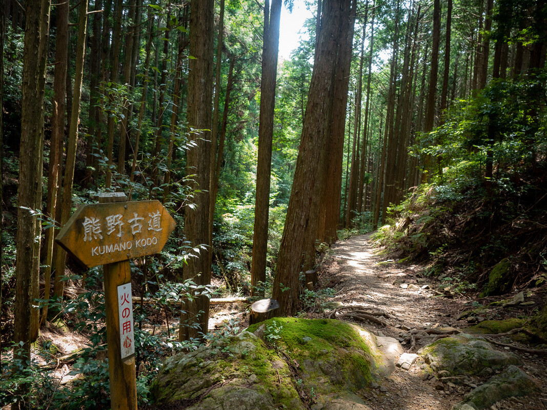 Japoński szlak Kumano Kodo Esej o Kumano Kodo - japońskim Camino de Santiago - historia Japonii zaklęta w szlaku pielgrzymek przez góry Kii