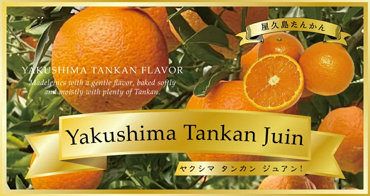 Tankan - cytrus z japońskiej wyspy Yakushima. Artykuł o japońskiej wyspie Yakushima, gdzie odnajdziemy pradawną naturę Japonii, inspirację anime "Księżniczka Mononoke" (Mononoke Hime( Hayao Miyazakiego.