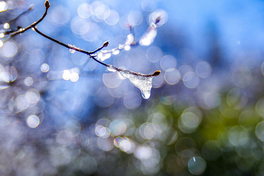 Japońska pora roku „usui”: dokoła lodowaty mróz, w sercu oddech wiosny Usui (雨水) – „Woda deszczowa” – to japońska pora przejścia, gdy zima jeszcze trzyma, a pod śniegiem zaczyna pracować wiosna. Esej o sekki, mikrosezonach i wrażliwości na zmianę, czytany przez waka i hokku oraz zimowy dzień w Przasnyszu.