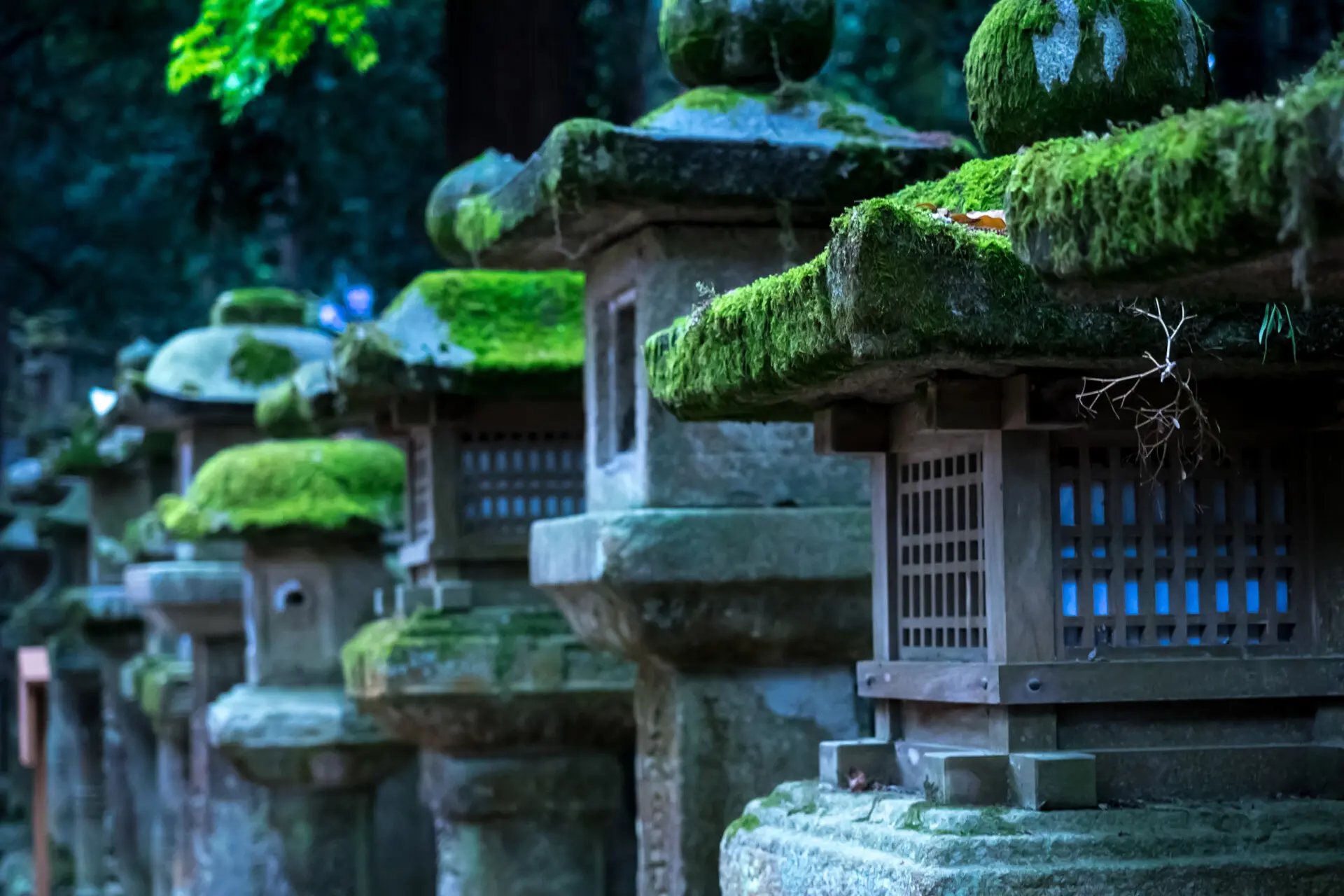 Tōrō – kamienne latarnie Japonii, w których płonie cisza i pamięć wieków Tōrō – japońskie kamienne latarnie. Historia, znaczenie, rodzaje i obecność w ogrodach, sztuce, zen i grach takich jak Ghost of Tsushima.