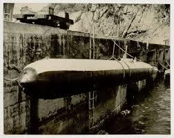 Prawdziwi kamikaze – listy chłopców do rodziny przed śmiercią Prawdziwi kamikaze: autentyczne listy i zapiski dwudziestoletnich pilotów i załóg kaiten pisane tuż przed misją. Fakty, kontekst i słowa do matek, ojców i sióstr.