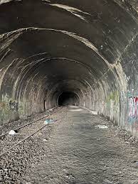 Inunaki Tunnel, Japonia. Inunaki - mroczny tunel i zapomniana wioska - japońskie legendy miejskie i creepy pasta.
