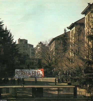 Sałatki nie było. Tawara Machi, japońska nauczycielka, która zabrała poezję ekspertom Napisała wiersz o kurczaku, zmieniła w nim każdy szczegół i sprzedała Japonii dwa i pół miliona egzemplarzy. Tawara Machi i wojna o to, kto ma prawo do wiersza.