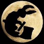 „Lis na niej przysiadł” – opętania kitsune-tsuki kobiet na japońskiej prowincji Kitsune-tsuki: od dawnych wsi po psychiatrie Meiji. Jak „lis” stawał się językiem niewypowiedzianego gniewu kobiet i narzędziem społecznego piętna.