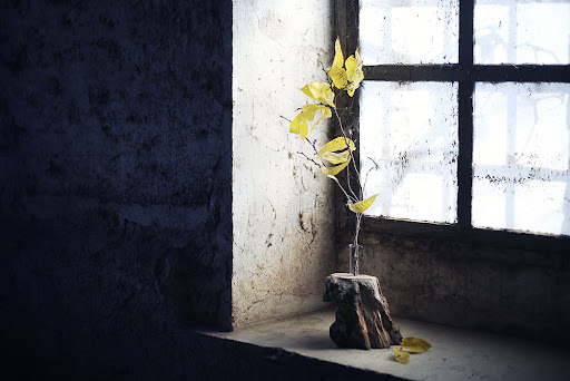 Japońska sztuka kwiatowa ikebana. Esej o japońskiej sztuce kwiatowej - ikebana. Jak uosabia ona filozofię zen i mono no aware oraz styl wabi sabi? Historia japońskiej sztuki.