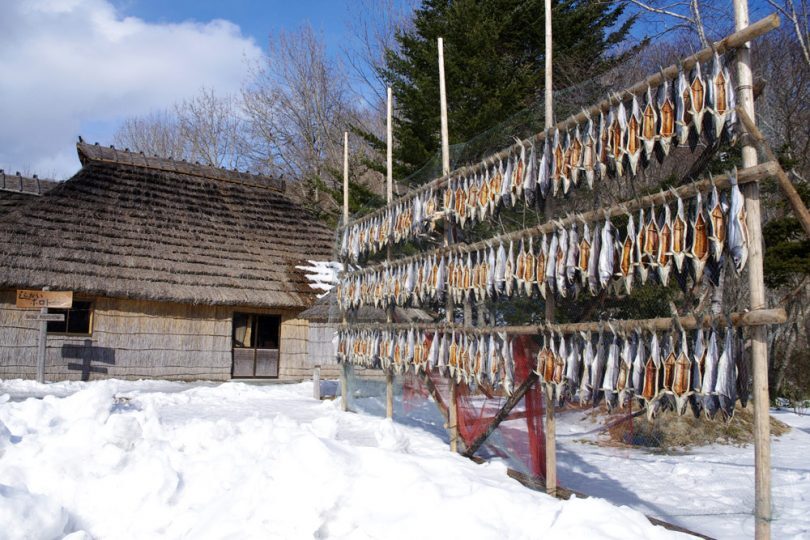Zdjęcie z wioski w Shiraoi na Hokkaido - kultura Ainu Artykuł o ajnuskiej wiosce Shiraoi na Hokkaido - jak żyli Ainu 500 lat temu - spacer przez ajnuską wioskę.