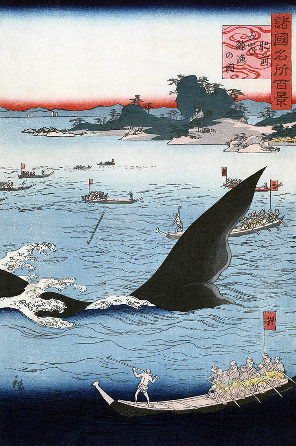 Połów wielorybów na ukiyo-e Artykuł o japońskim wielorybnictwie we współczesnej Japonii i komentarz aktywistki Junko Sakuma.