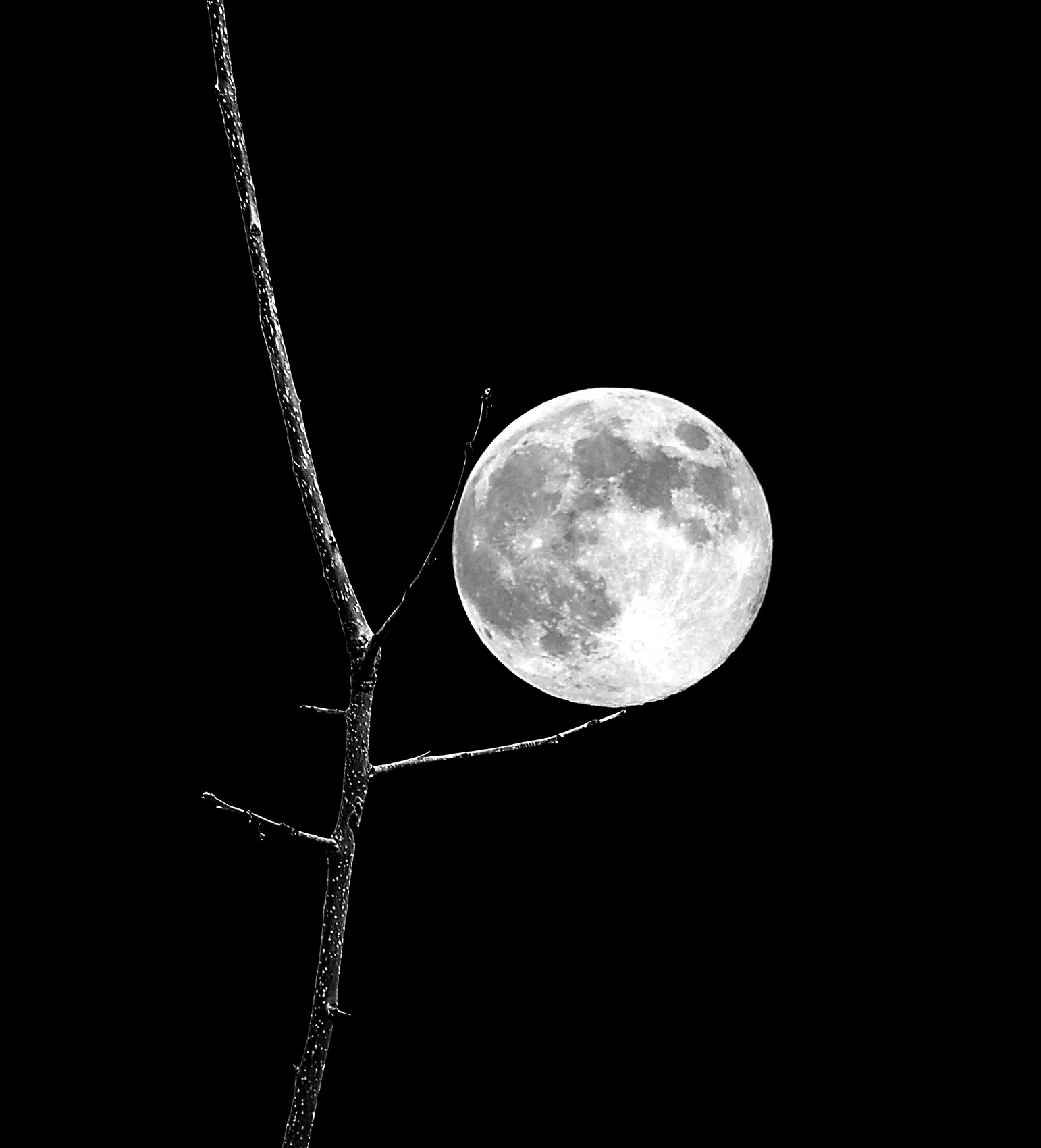 Księżyc to częsty motyw w ukiyo-e Yoshitoshiego Interpretacja obrazu ukiyo-e Tsukioki Yoshitoshiego - "Fujiwara no Yasumasa gra na flecie w świetle księżyca".