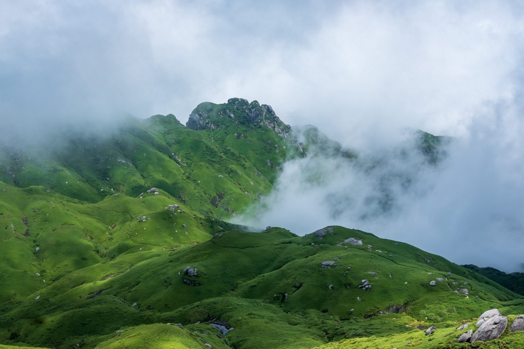 Góry na Yakushimie. Artykuł o japońskiej wyspie Yakushima, gdzie odnajdziemy pradawną naturę Japonii, inspirację anime "Księżniczka Mononoke" (Mononoke Hime( Hayao Miyazakiego.