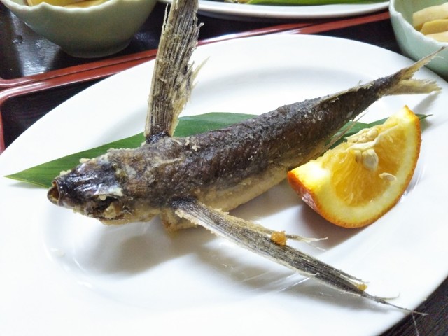 Latająca ryba Tobiuo - przysmak z japońskiej Yakushimy. Artykuł o japońskiej wyspie Yakushima, gdzie odnajdziemy pradawną naturę Japonii, inspirację anime "Księżniczka Mononoke" (Mononoke Hime( Hayao Miyazakiego.