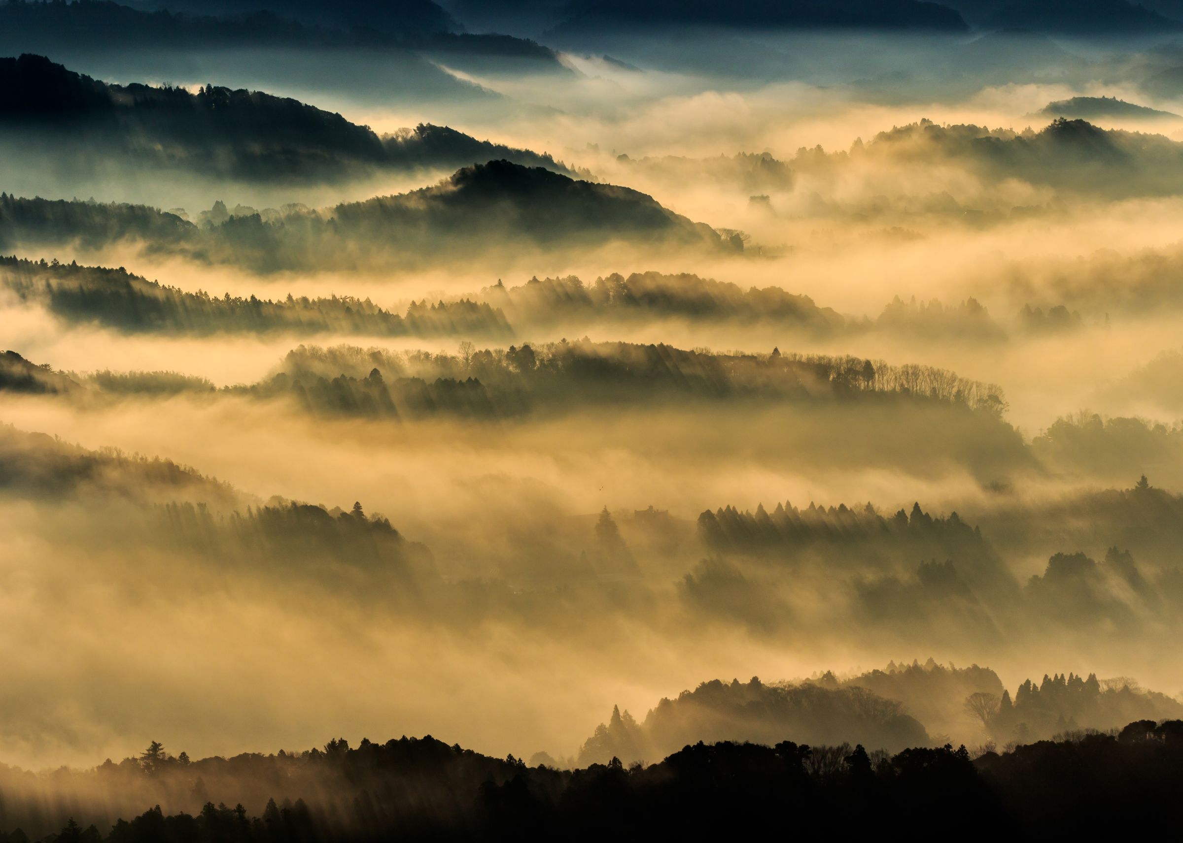 Gdy coś już znikło, ale jeszcze nie przystało istnieć. Yūgen – japońska estetyka zawieszenia. Yūgen – japońska estetyka półcienia i tajemnicy. O ukrytym pięknie, które istnieje między znikaniem a trwaniem, w sztuce, literaturze i codzienności.