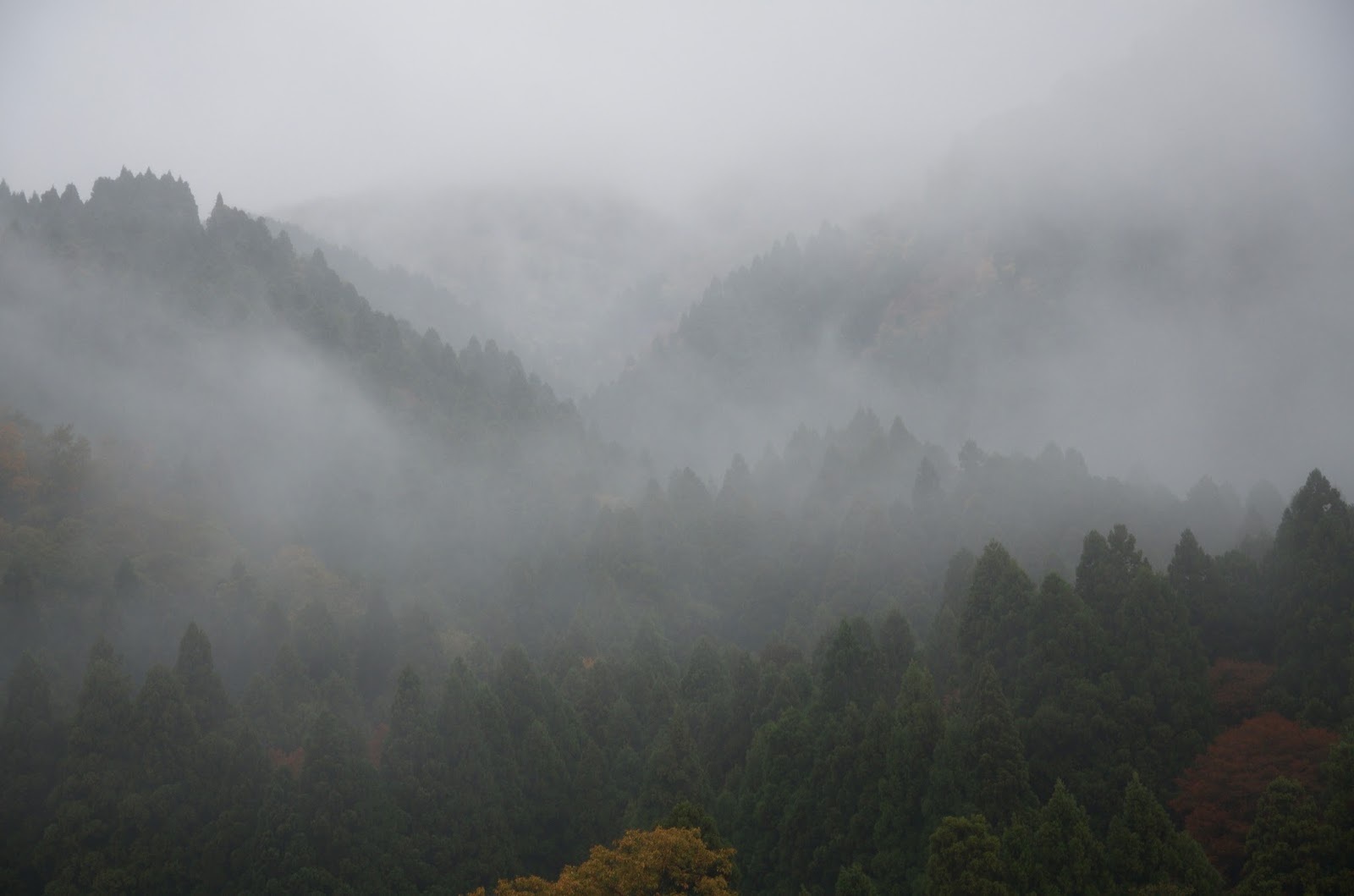 YUGEN - estetyka japońska Esej o znaczeniu znaków kanji "Yokai" (妖怪) - jakie prawdy ukrywają znaki kanji w nazwie japońskich demonów z legend?