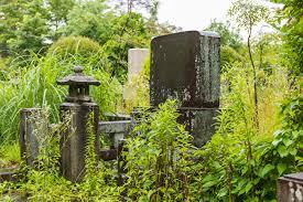 Muenbotoke: About People No One Is Looking For Muenbotoke — "buddhas without bonds" — are Japanese spirits no one remembers. In 2024, 76,020 people died alone in Japan. A medieval fear has become a 21st-century statistic. An essay on what connects folklore ghosts with solitary retirees in Tokyo's concrete blocks.