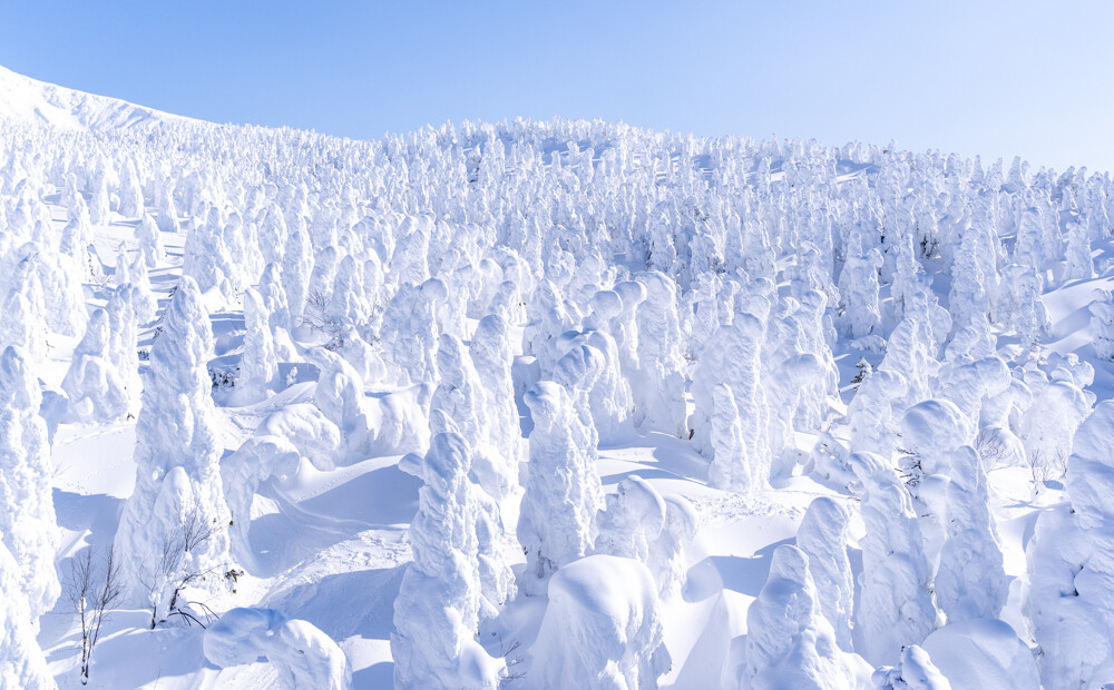 Winter Whispering Dreams: 10 Names for Snow in the Japanese Language 10 names for snow in Japanese language - how snow can be a space for thought, meditation and mono no aware feelings.