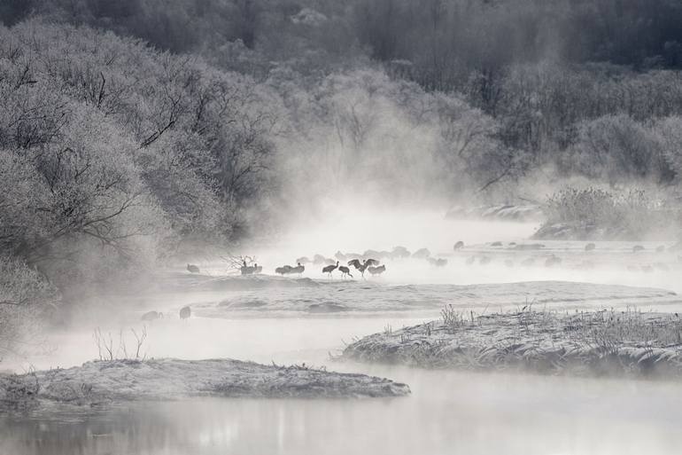 72 japońskie pory roku cz. 2 – jesień i zima w kalendarzu świadomego życia 72 pory roku Japonii - druga część - jesień i zima. Mono no aware i japońskie mikro pory roku.