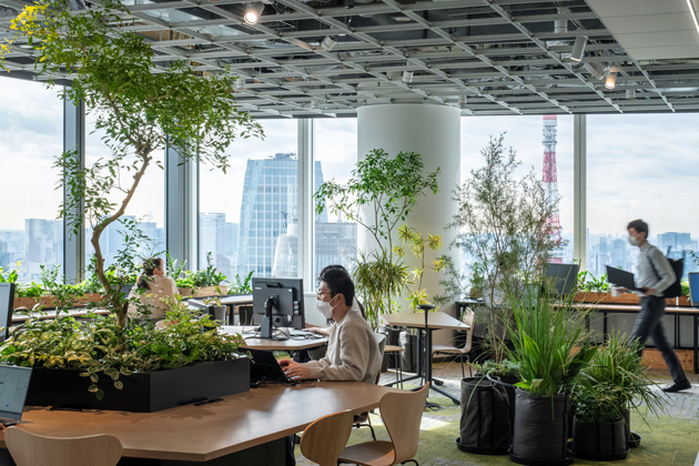 Nie po imieniu – jak Japończycy naprawdę mówią do siebie na co dzień Dlaczego w Japonii rzadko woła się ludzi po imieniu? Artykuł o nazwiskach, -san, sensei, firmowych tytułach i tym, jak język odsłania hierarchię relacji.