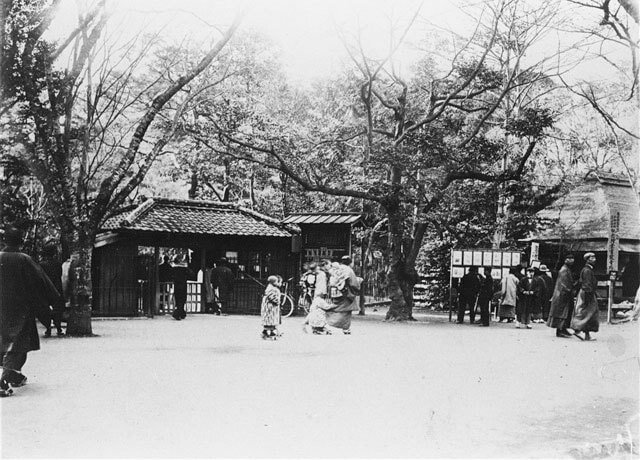 ukiyo-japn.pl - Shojo - pijany yokai z czarką sake Z japońskiej mitologii: Shōjō, czyli o yokaiu, który nie rozstawał się z sake - jaka jest jego historia oraz przesłanie?