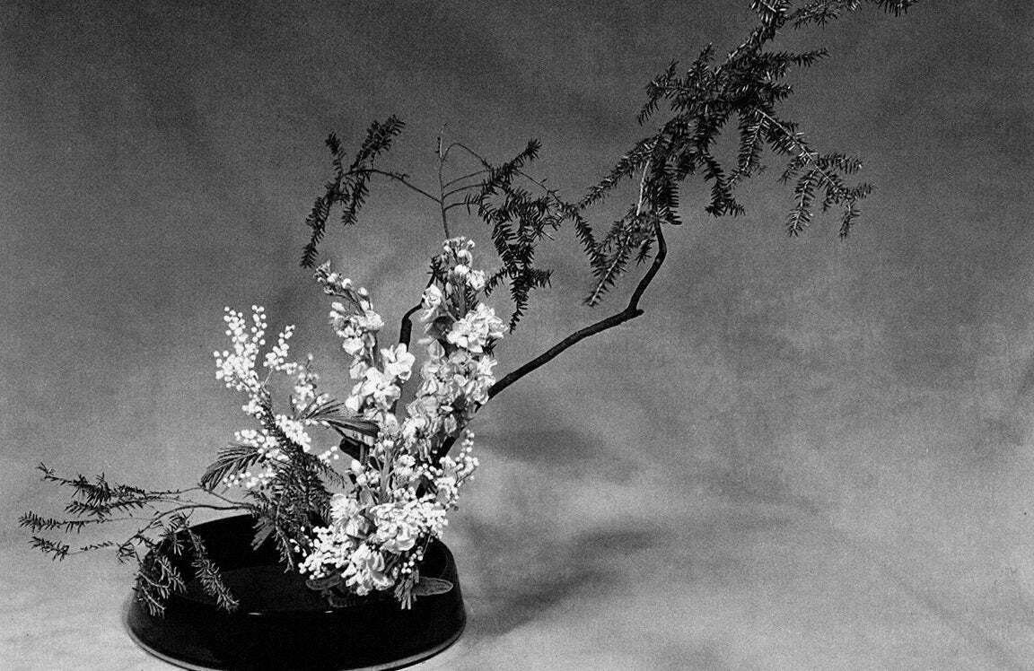 Ikebana - dramatyzm życia Artykuł - analiza znaczeń ukrytych w japońskim znaku kanji "życie" (sei, 生)