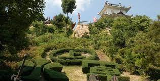 Żywopłot w kształcie mon Murakami, Japonia, Seto. Artykuł o japońskich piratach kaizoku z rodu Murakami - samuraje i piractwo w Japonii sengoku