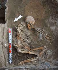 Ainu people - archeological research in Hokkaido, Japan. Essay about Polish researchers' role in reasearch of the Ainu people - Ainu living on Hokkaido and Sakhalin. Role of Bronislaw Pilsudski in early linguistic and cultural research of Ainu people of Northern Japan.