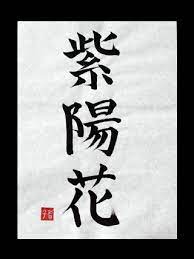 Kaligrafia znaków kanji Ajisai (hortensja) - Japonia. Artykuł o historii, znaczeniu i symbolice hortensji (kwiatu Ajisai) w japońskiej kulturze i sztuce.