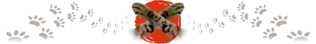 Vengeful Cat Demons in Japanese Legends: The Sinister Bakeneko Essay on dark cat demons (youkais) from Japanese mythology and shintoistic beliefs - Bakeneko. Bakeneko in culture and histpory of Japan, its role in Japanese manga, anime and games.