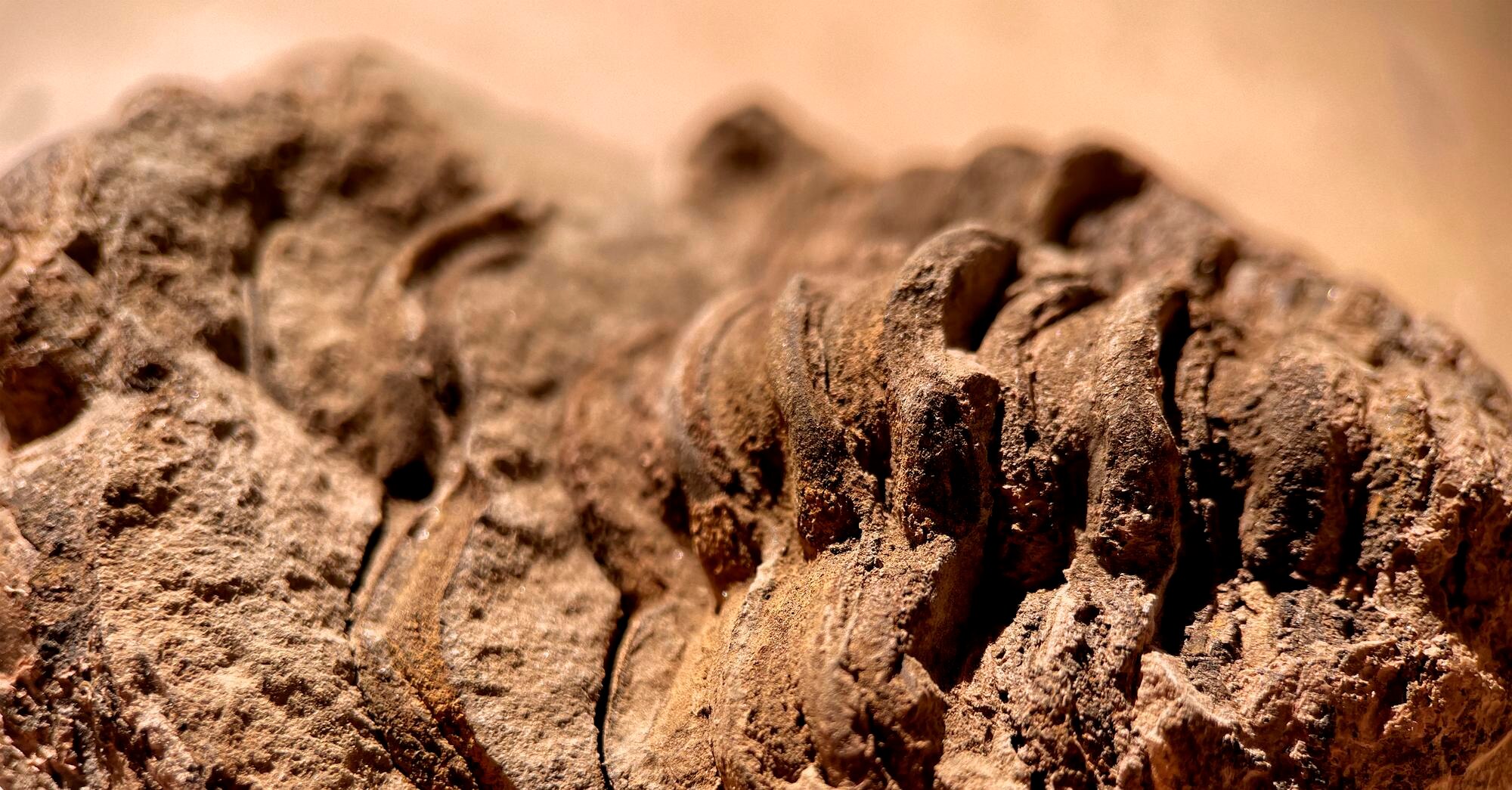 The Book of Five Rings (Go Rin No Sho) by Miyamoto Musashi philosopher-samurai: element of  earth Essay about life and work of the greatest of Japanese samurais - Miyamoto Musashi, author of the Book of Five Rings (Go Rin No Sho), philosopher, tactician in Japan, 17th century (and manga and anime based on his life)