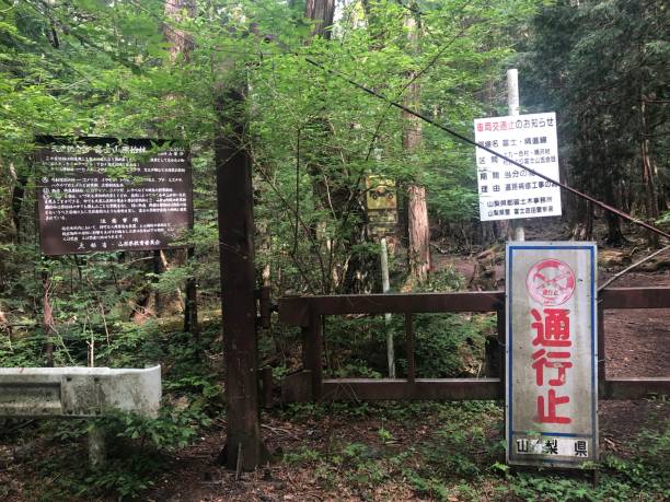 Entrance to the Suicide Forest of Aokigahara in Japan. Article about Aokigahara (Jukai) - the Suicide Forest in Japan. Japanese social problems such as high suicide ratio and countermeasures. The Suicide Forest of Aokigahara vs Japanese mythology and youkai demons from shinto beliefs.