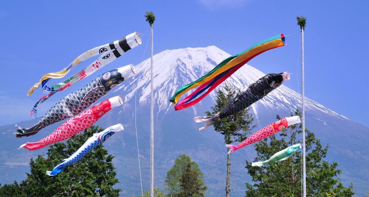 Popular sight - especially in Golden Week in Japan. Article about the May holidays in Asia and especially Japan: the Golden Week (history, matsuri, customs and related terms regarding Golden Week holidays in contemporary Japan)