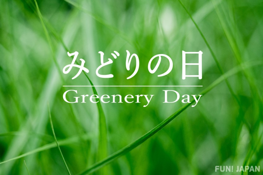 Greenery Day is the third holiday in Golden Week in Japan. Article about the May holidays in Asia and especially Japan: the Golden Week (history, matsuri, customs and related terms regarding Golden Week holidays in contemporary Japan)